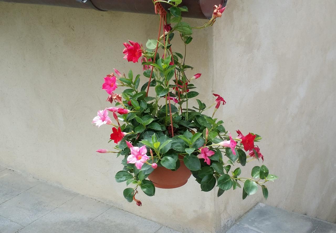 B&B Le Torri Di Firenze ฟีเอโซเล ภายนอก รูปภาพ